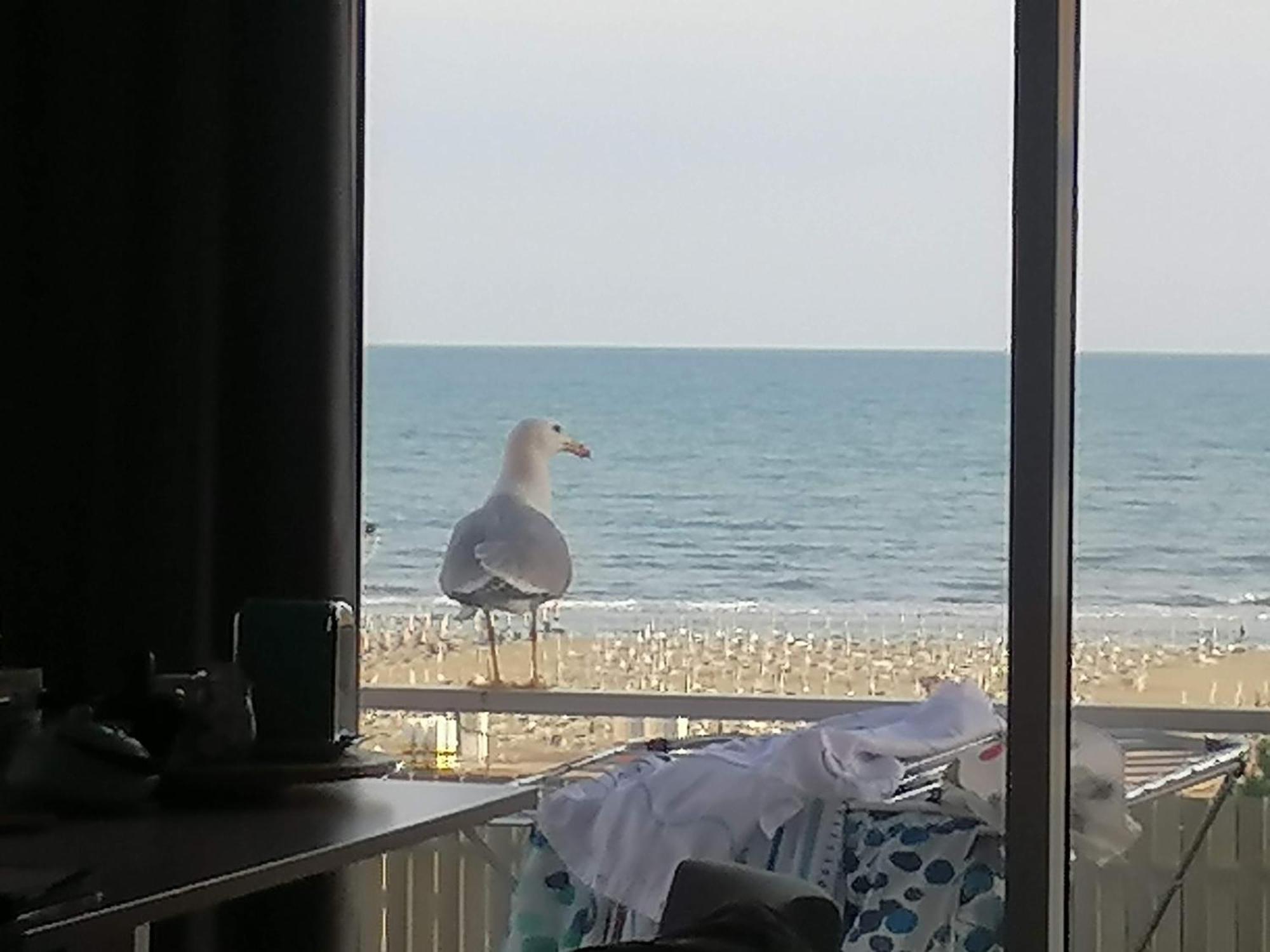 Silente L Apartment Bibione