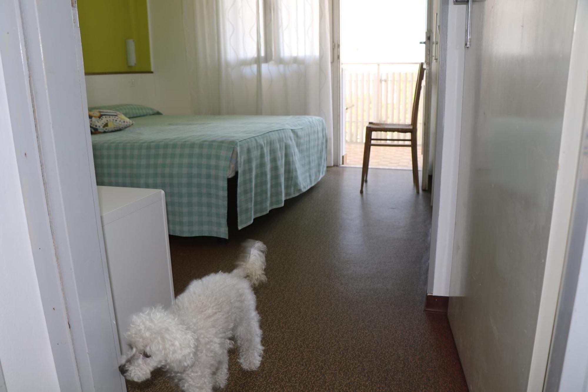 Silente L * Bibione